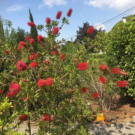 Maison Bon Ton Bed & Breakfast Paraza