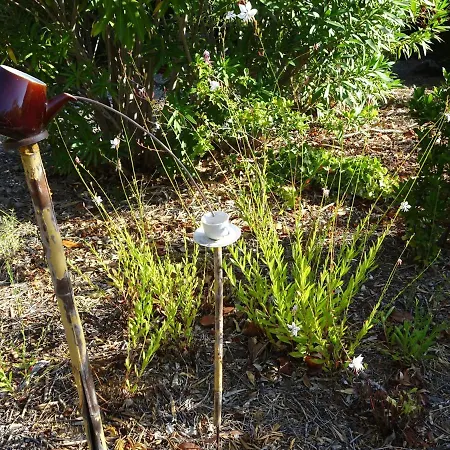 Maison Bon Ton Bed & Breakfast 3*